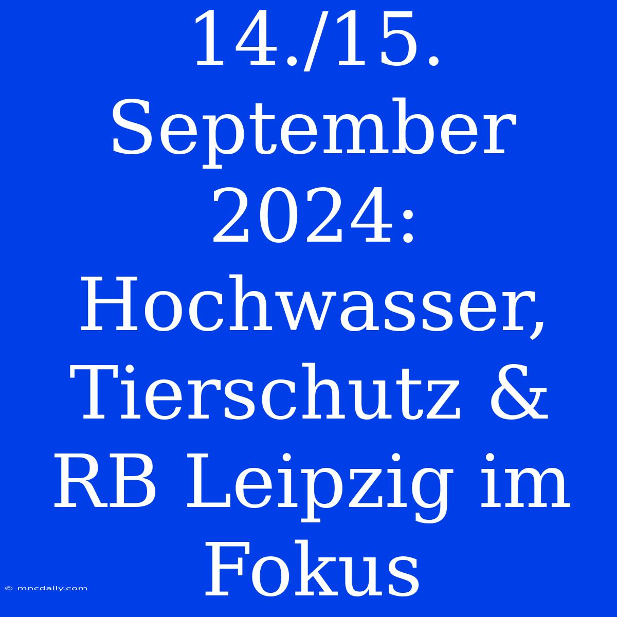 14./15. September 2024: Hochwasser, Tierschutz & RB Leipzig Im Fokus