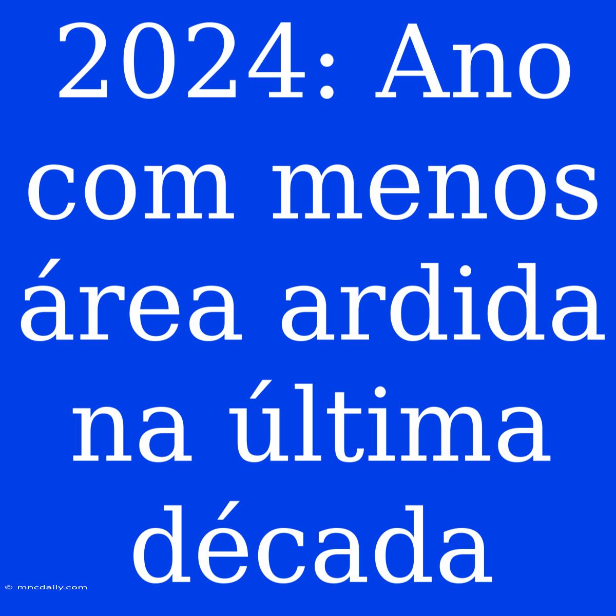 2024: Ano Com Menos Área Ardida Na Última Década