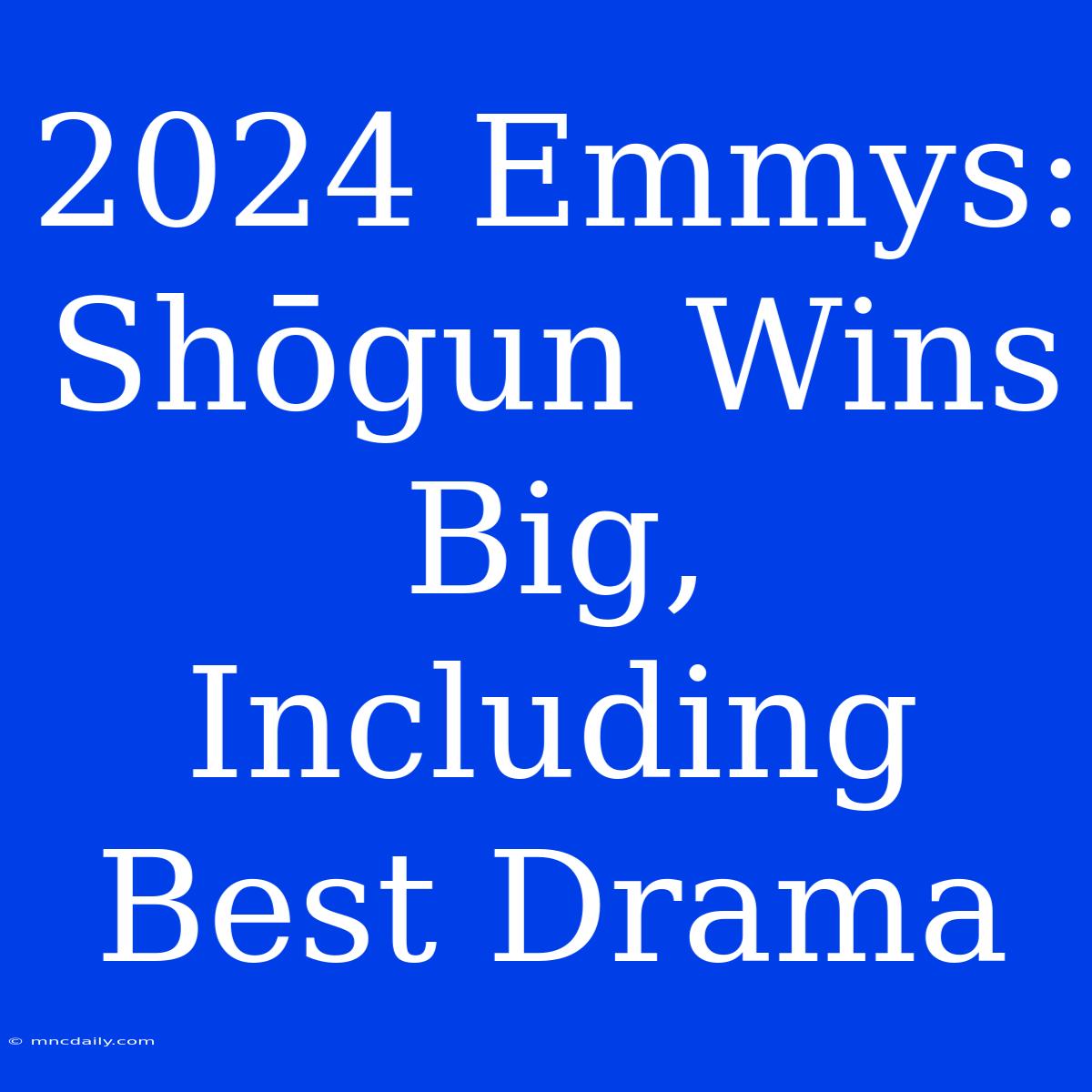 2024 Emmys: Shōgun Wins Big, Including Best Drama