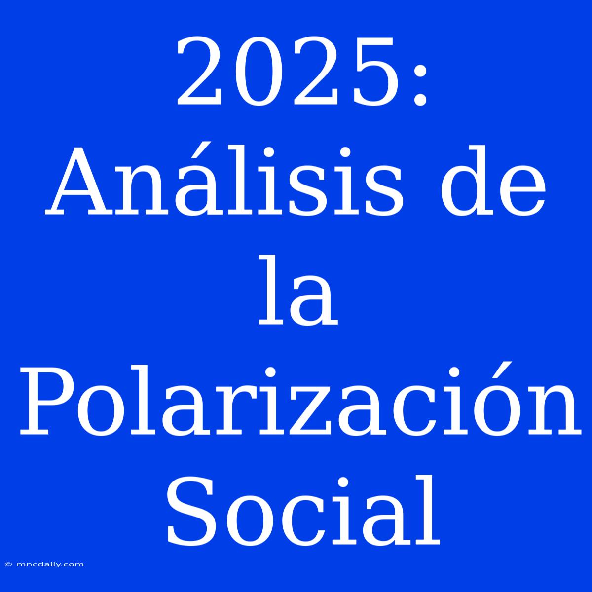 2025: Análisis De La Polarización Social