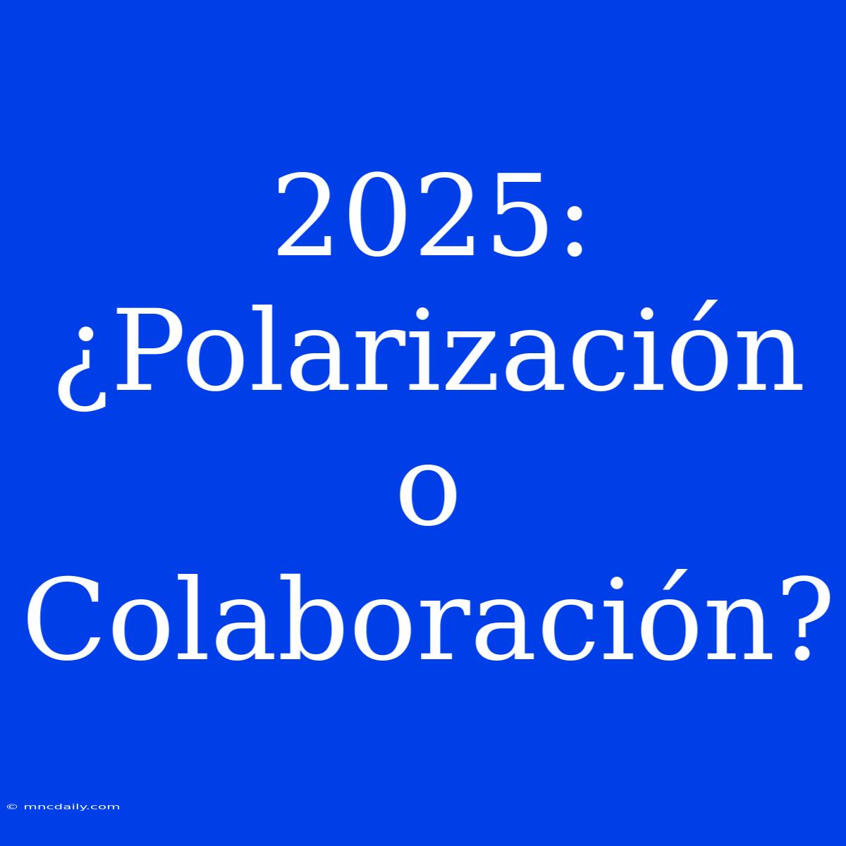 2025: ¿Polarización O Colaboración?