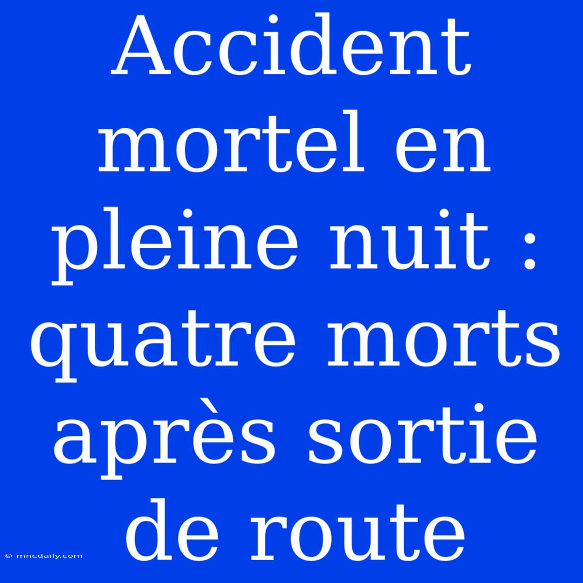 Accident Mortel En Pleine Nuit : Quatre Morts Après Sortie De Route