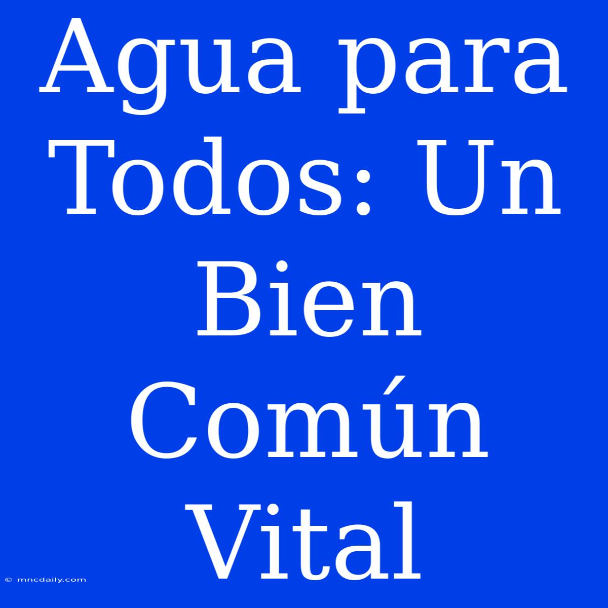 Agua Para Todos: Un Bien Común Vital