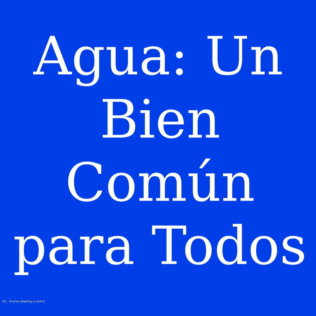 Agua: Un Bien Común Para Todos