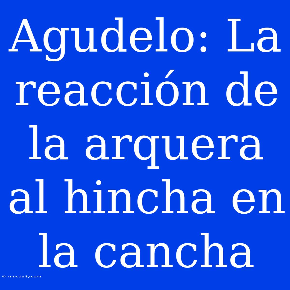 Agudelo: La Reacción De La Arquera Al Hincha En La Cancha