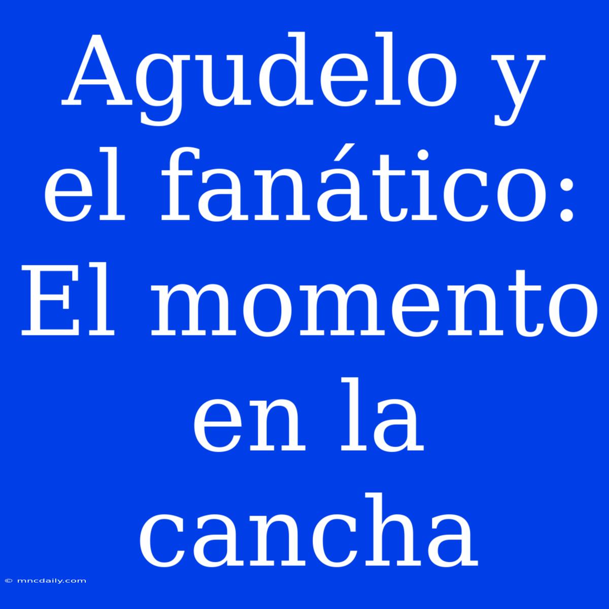 Agudelo Y El Fanático: El Momento En La Cancha 