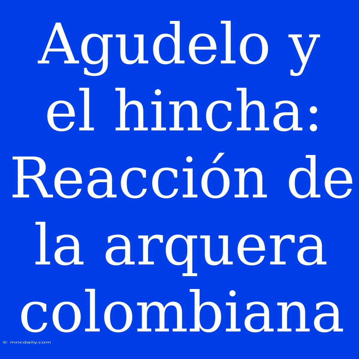 Agudelo Y El Hincha: Reacción De La Arquera Colombiana