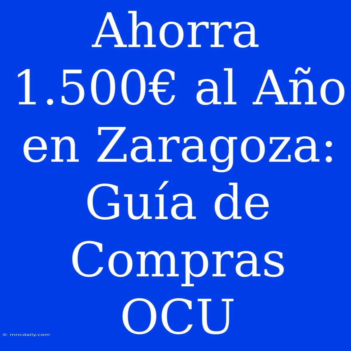 Ahorra 1.500€ Al Año En Zaragoza: Guía De Compras OCU