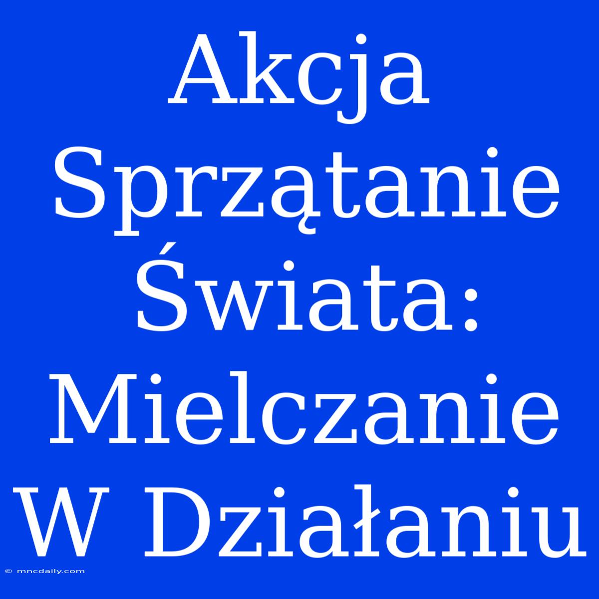 Akcja Sprzątanie Świata: Mielczanie W Działaniu