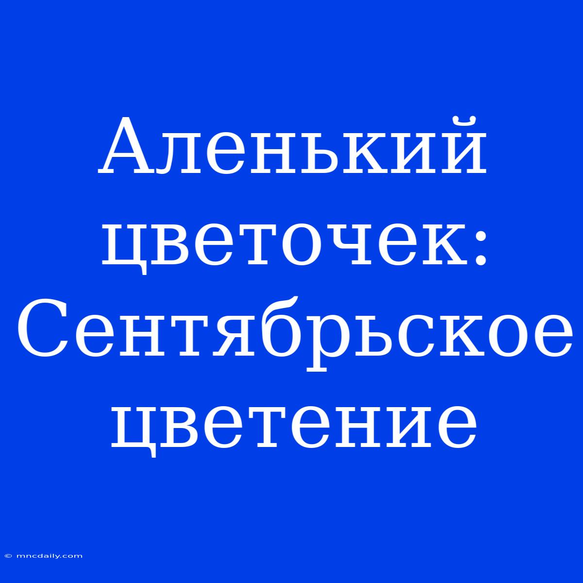 Аленький Цветочек: Сентябрьское Цветение