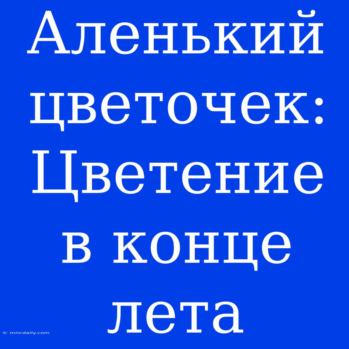 Аленький Цветочек: Цветение В Конце Лета