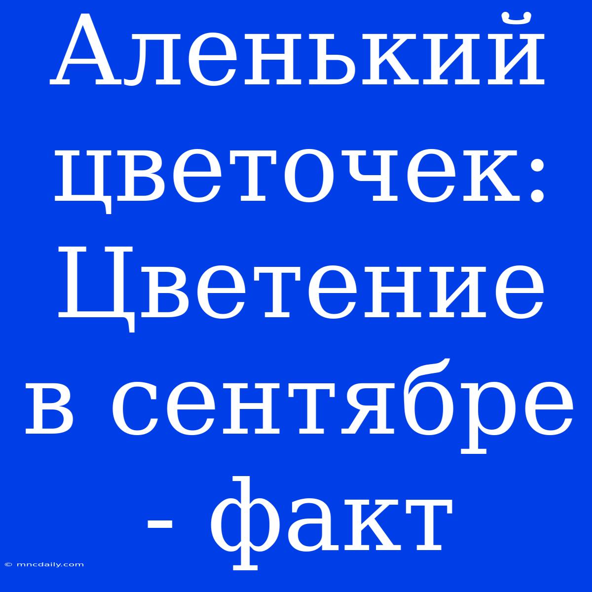 Аленький Цветочек: Цветение В Сентябре - Факт