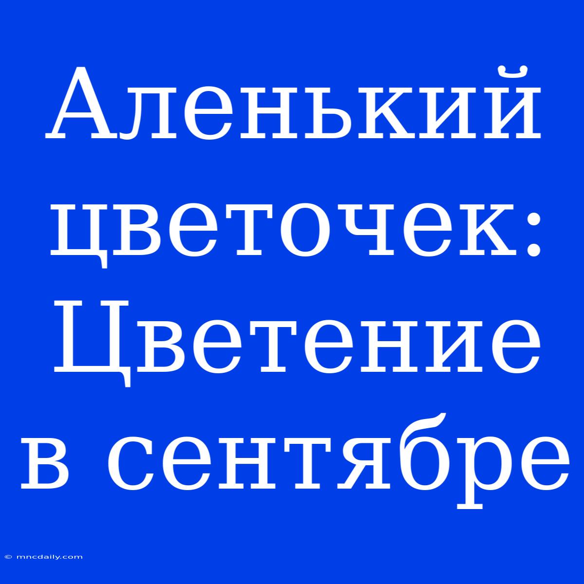 Аленький Цветочек: Цветение В Сентябре