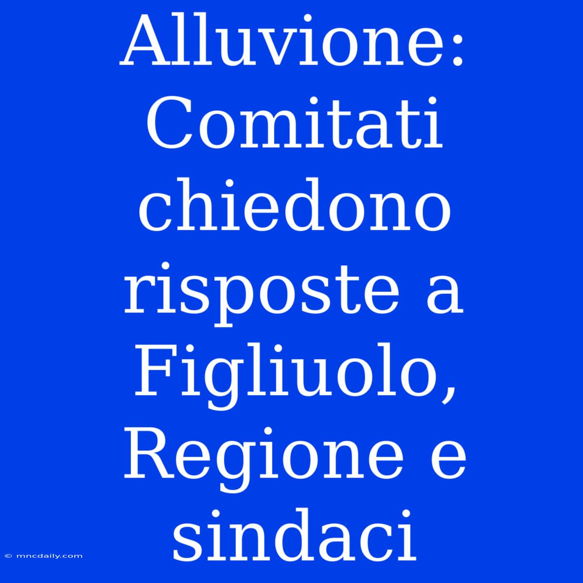 Alluvione: Comitati Chiedono Risposte A Figliuolo, Regione E Sindaci