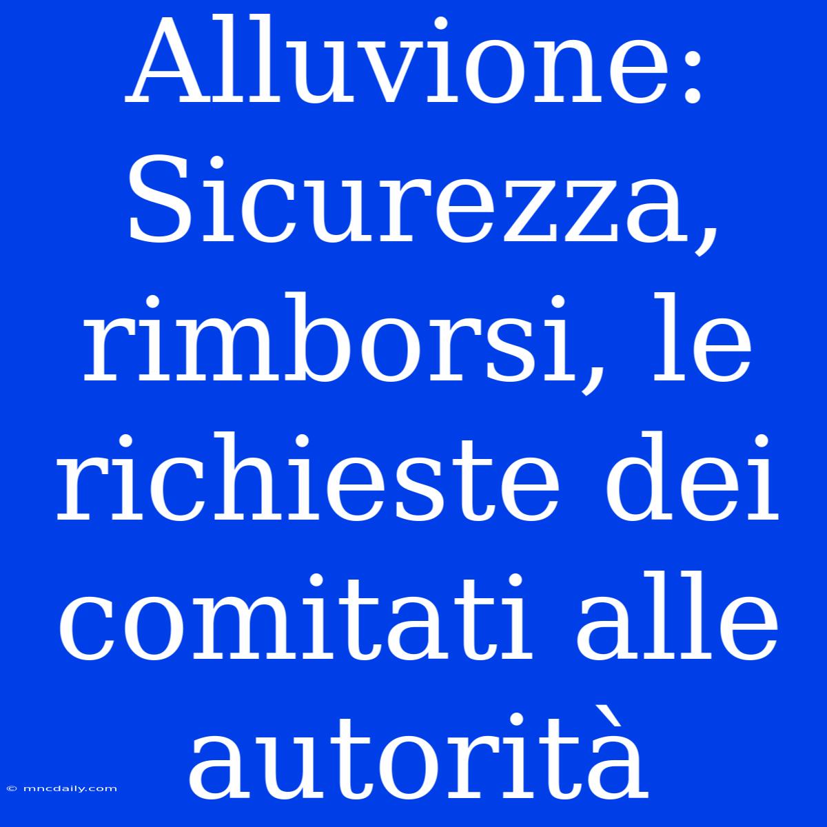 Alluvione: Sicurezza, Rimborsi, Le Richieste Dei Comitati Alle Autorità