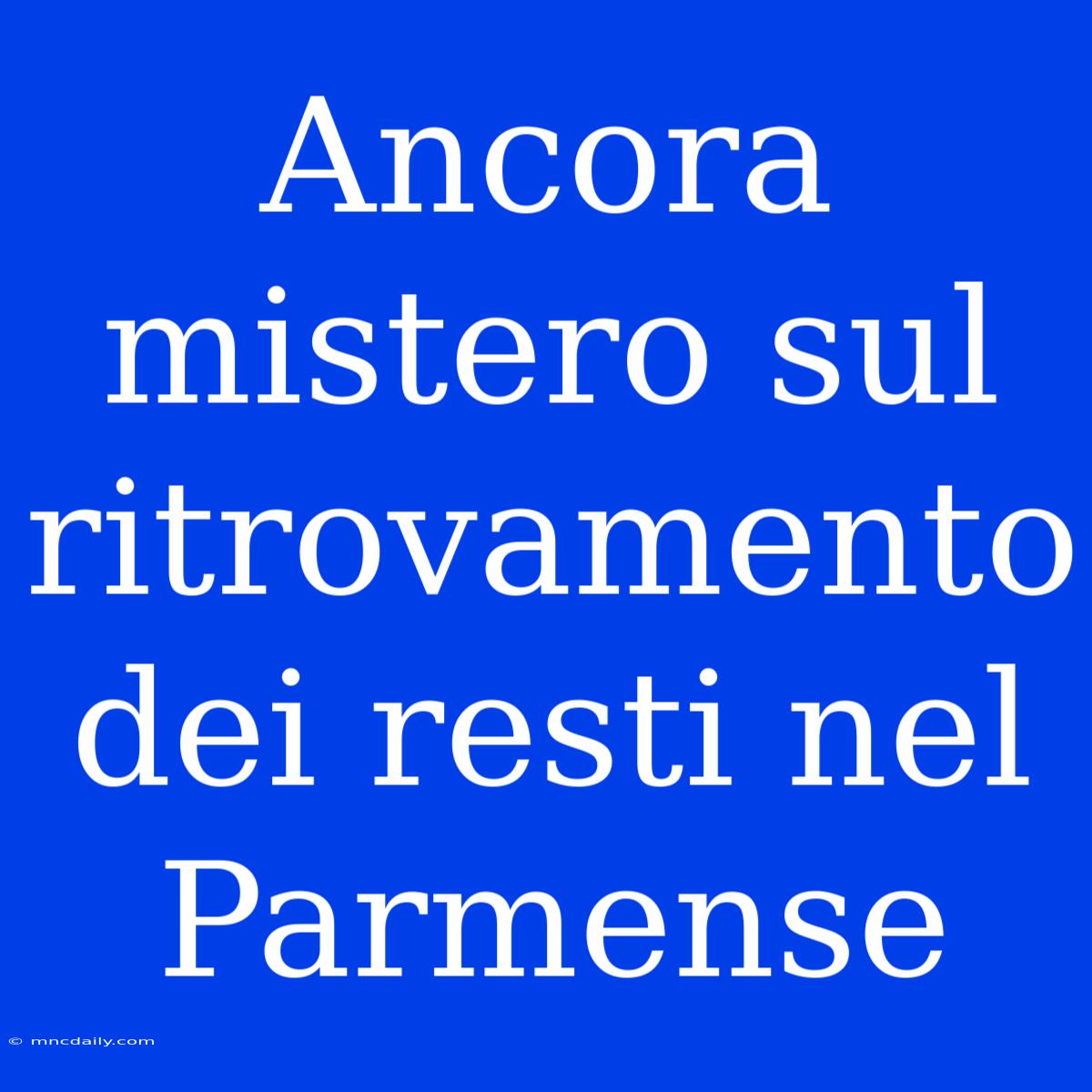 Ancora Mistero Sul Ritrovamento Dei Resti Nel Parmense