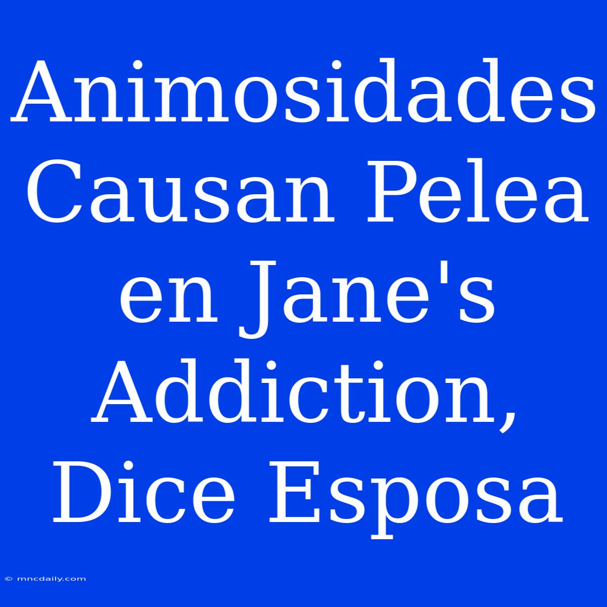 Animosidades Causan Pelea En Jane's Addiction, Dice Esposa