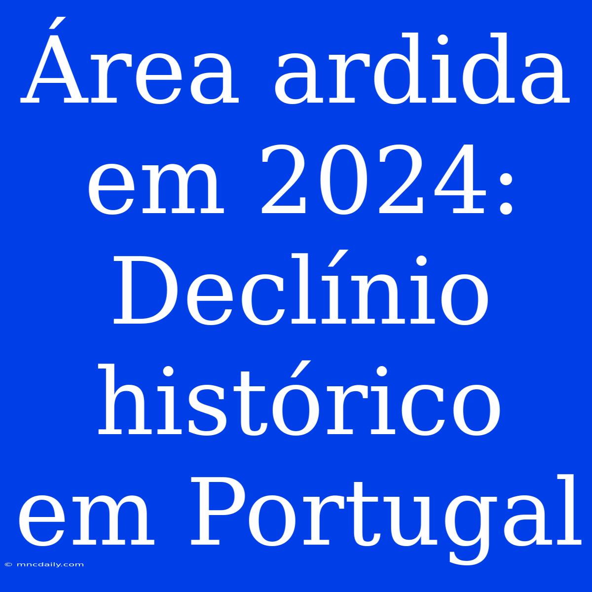 Área Ardida Em 2024: Declínio Histórico Em Portugal