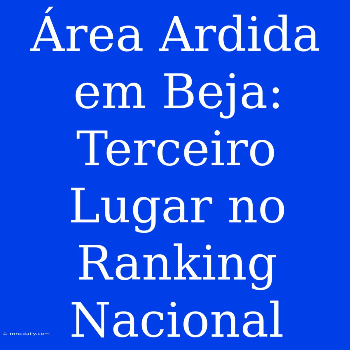 Área Ardida Em Beja: Terceiro Lugar No Ranking Nacional