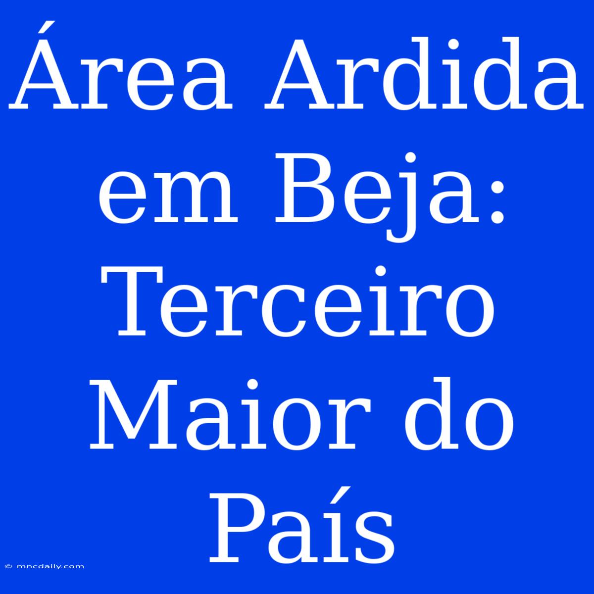 Área Ardida Em Beja: Terceiro Maior Do País