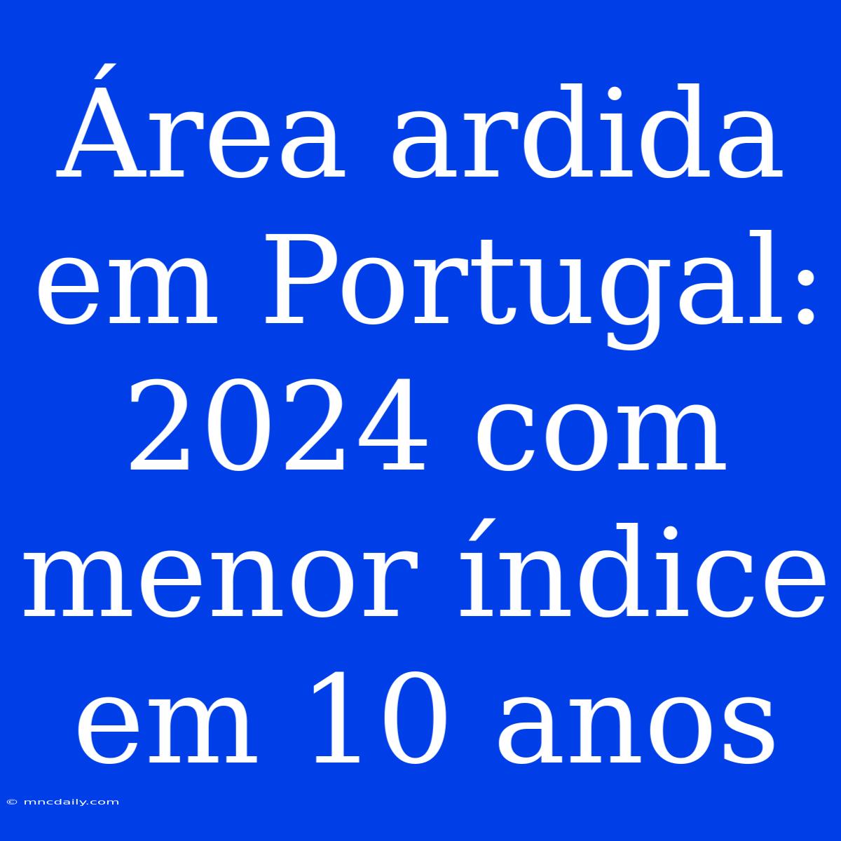 Área Ardida Em Portugal: 2024 Com Menor Índice Em 10 Anos