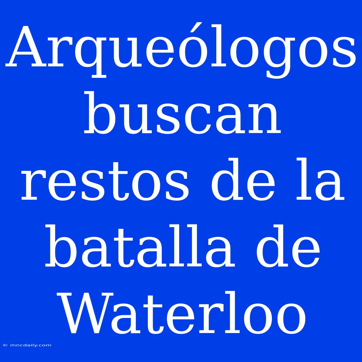 Arqueólogos Buscan Restos De La Batalla De Waterloo