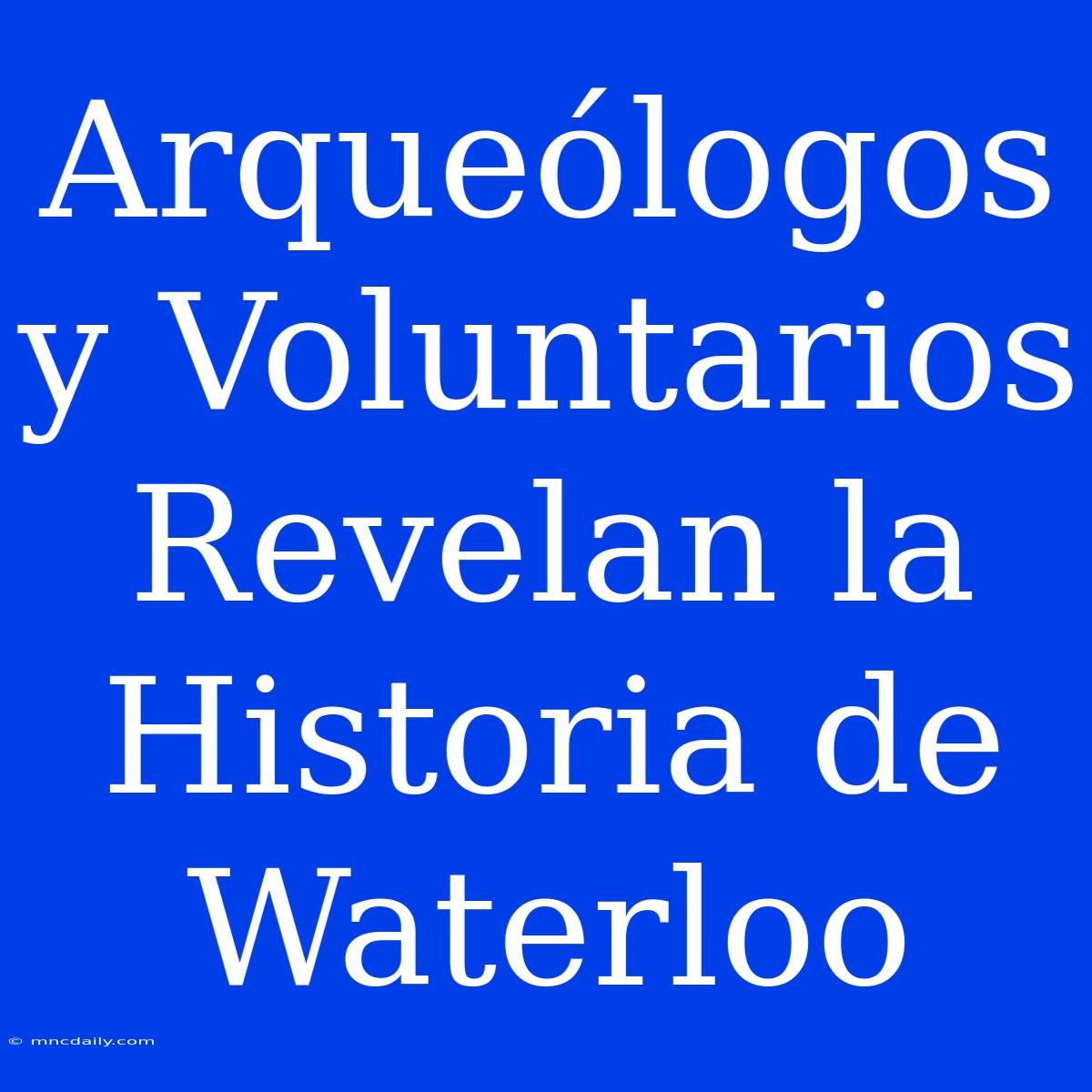 Arqueólogos Y Voluntarios Revelan La Historia De Waterloo