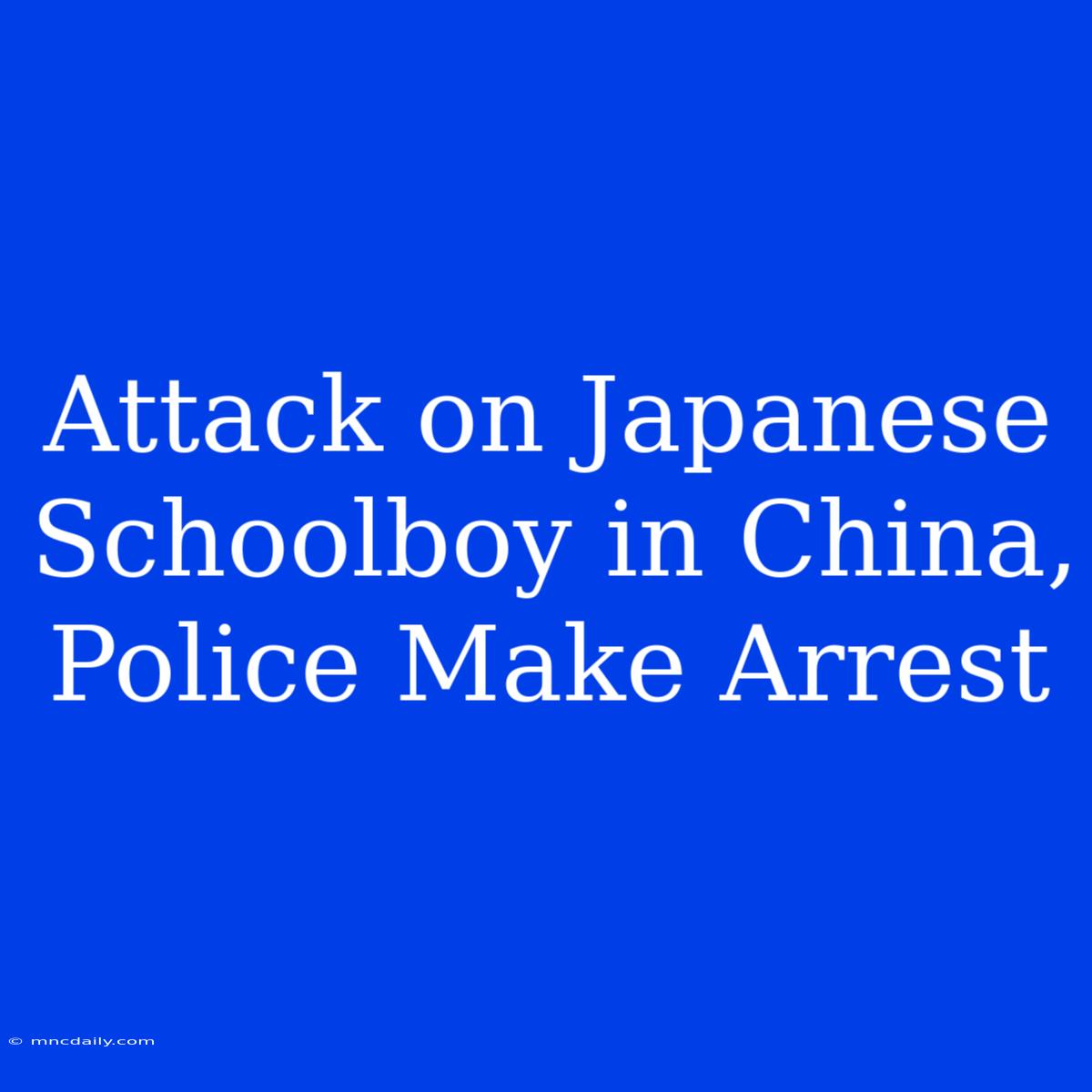 Attack On Japanese Schoolboy In China, Police Make Arrest