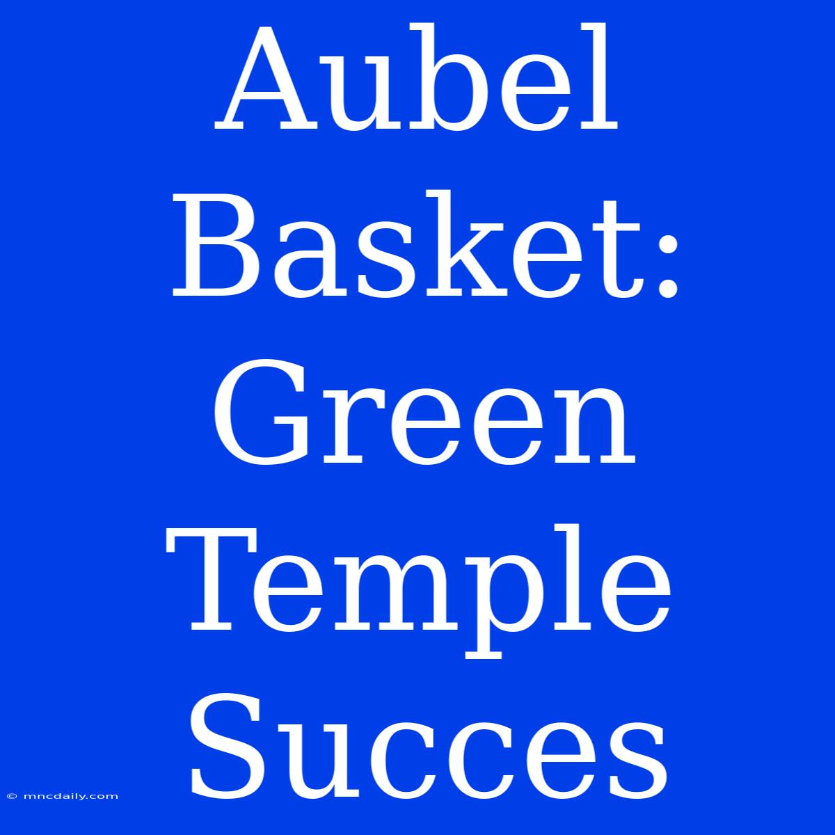 Aubel Basket: Green Temple Succes