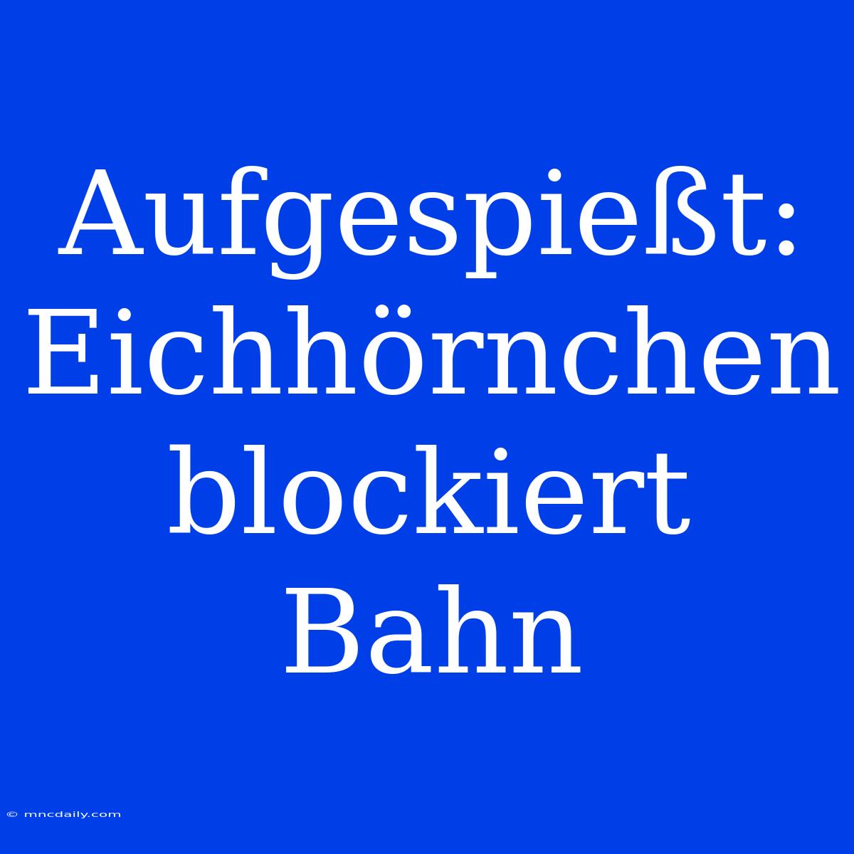 Aufgespießt: Eichhörnchen Blockiert Bahn