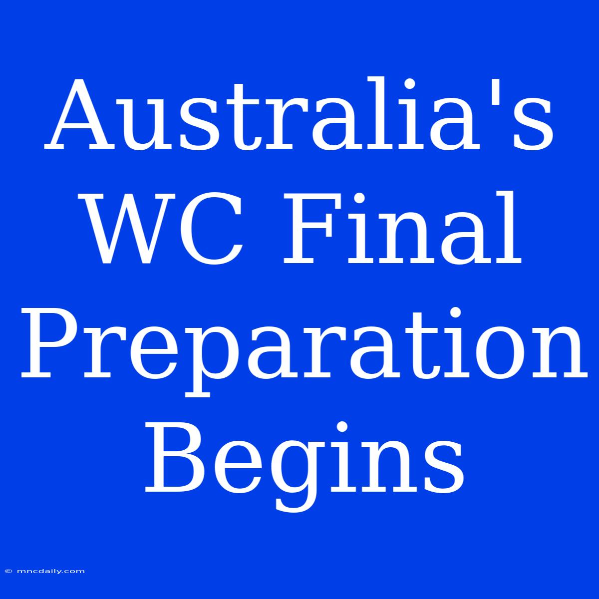 Australia's WC Final Preparation Begins