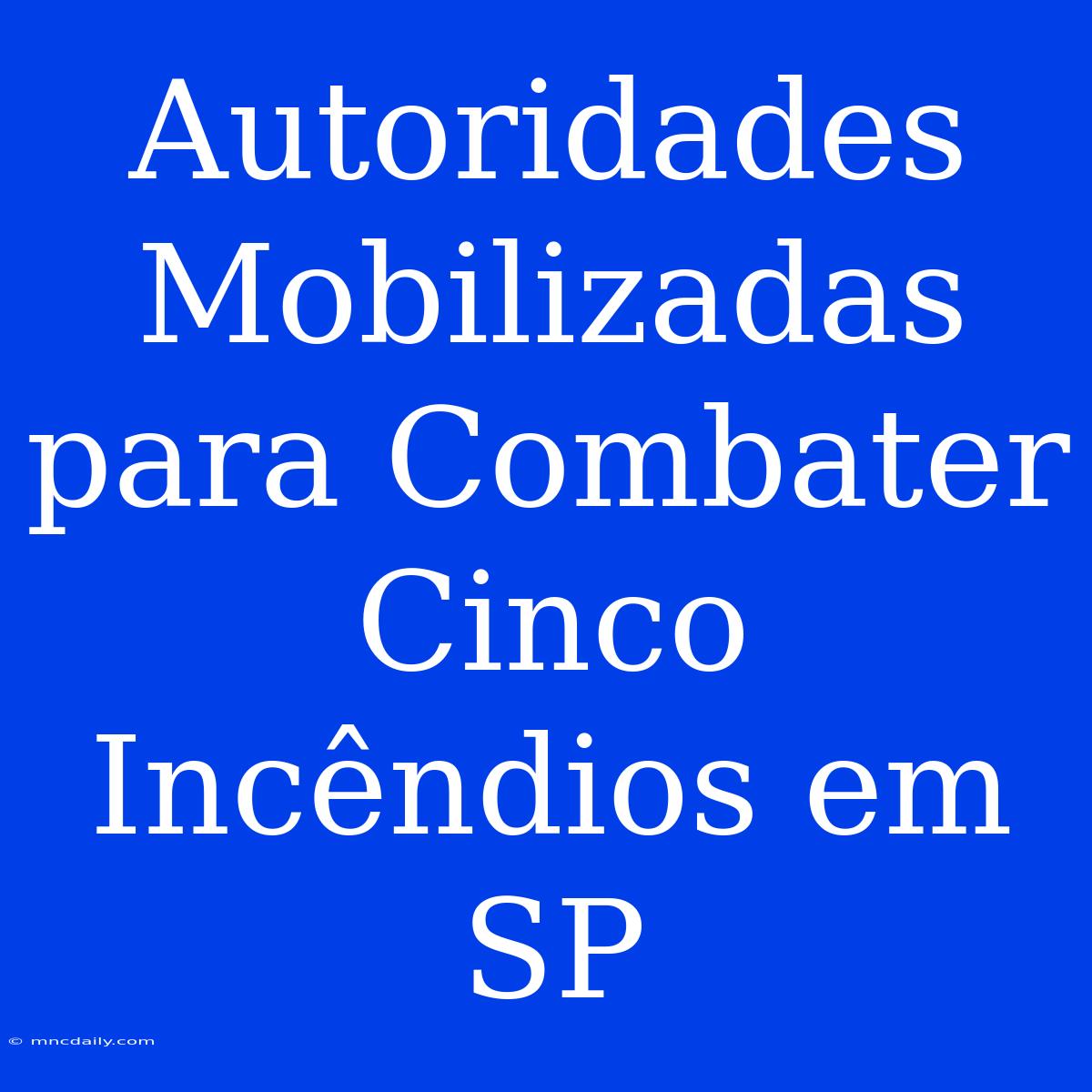 Autoridades Mobilizadas Para Combater Cinco Incêndios Em SP 