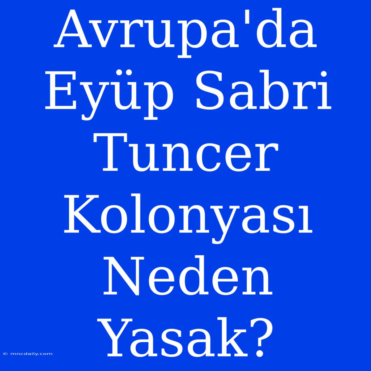 Avrupa'da Eyüp Sabri Tuncer Kolonyası Neden Yasak?