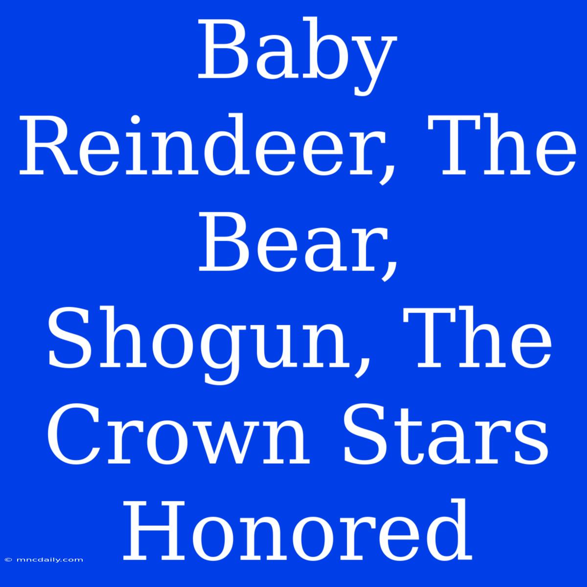 Baby Reindeer, The Bear, Shogun, The Crown Stars Honored 