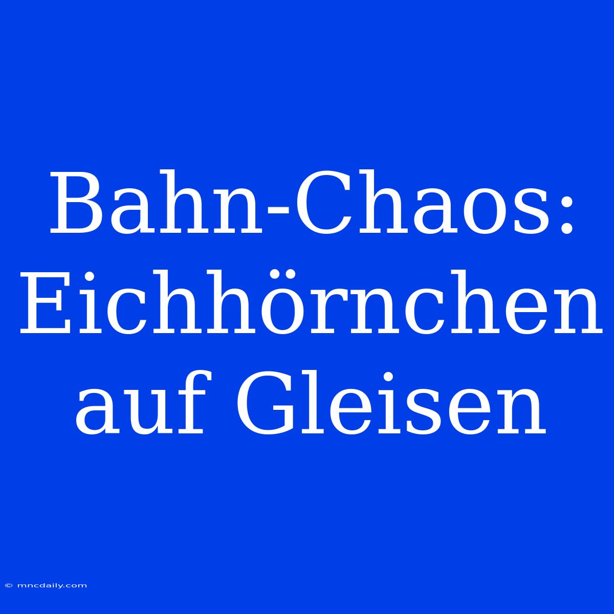 Bahn-Chaos: Eichhörnchen Auf Gleisen