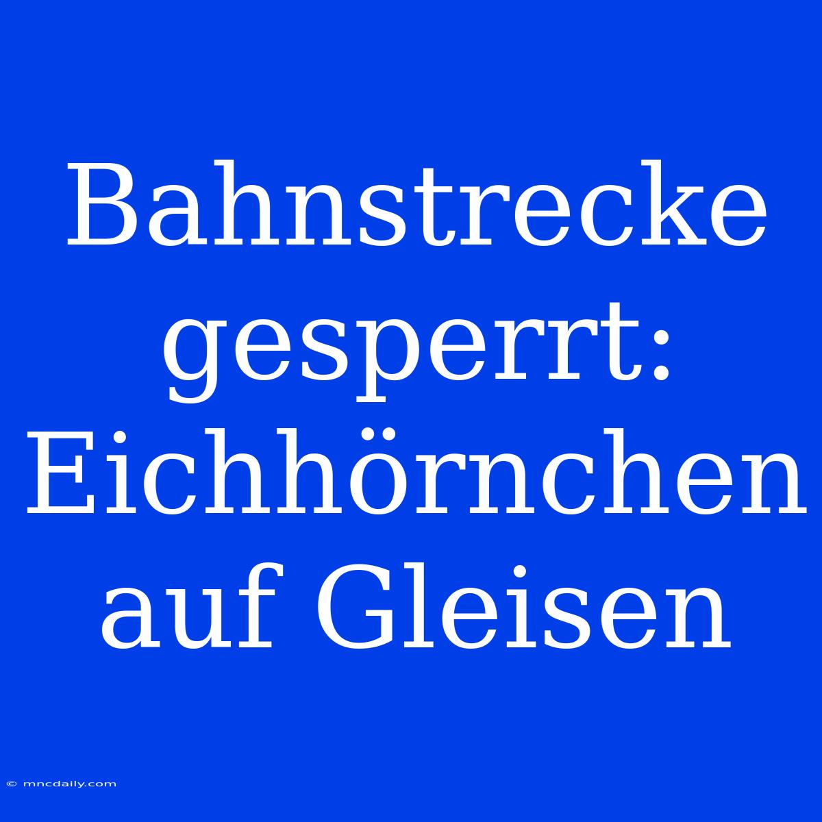 Bahnstrecke Gesperrt: Eichhörnchen Auf Gleisen