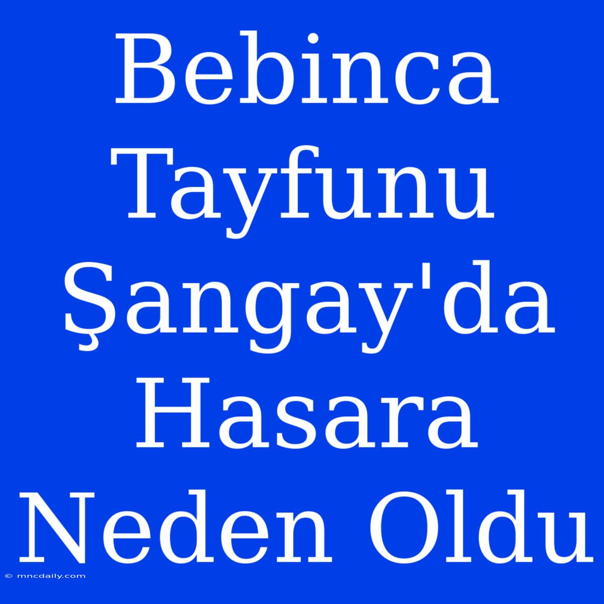 Bebinca Tayfunu Şangay'da Hasara Neden Oldu