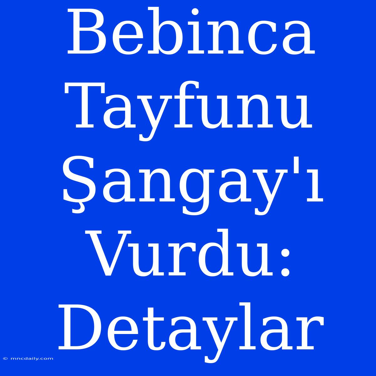 Bebinca Tayfunu Şangay'ı Vurdu: Detaylar