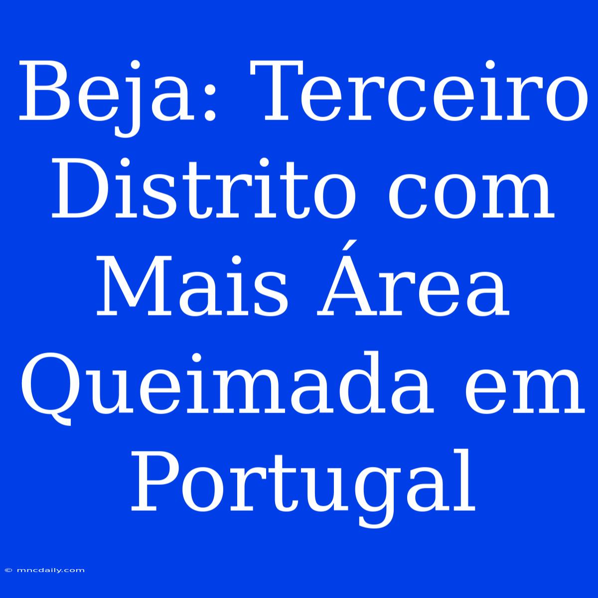 Beja: Terceiro Distrito Com Mais Área Queimada Em Portugal