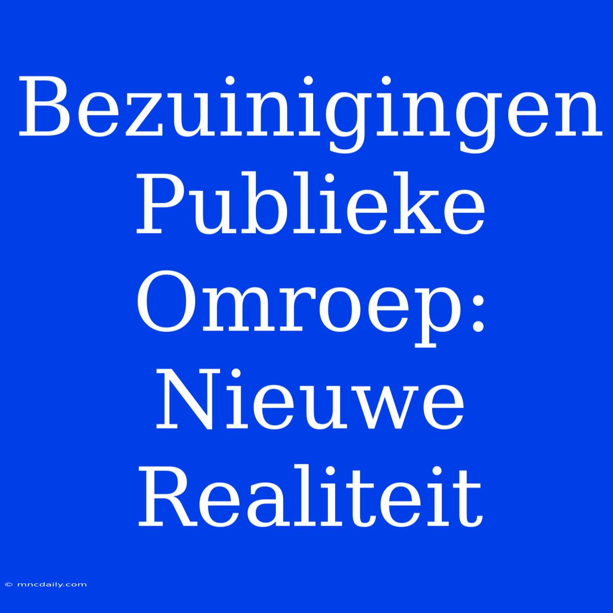 Bezuinigingen Publieke Omroep: Nieuwe Realiteit