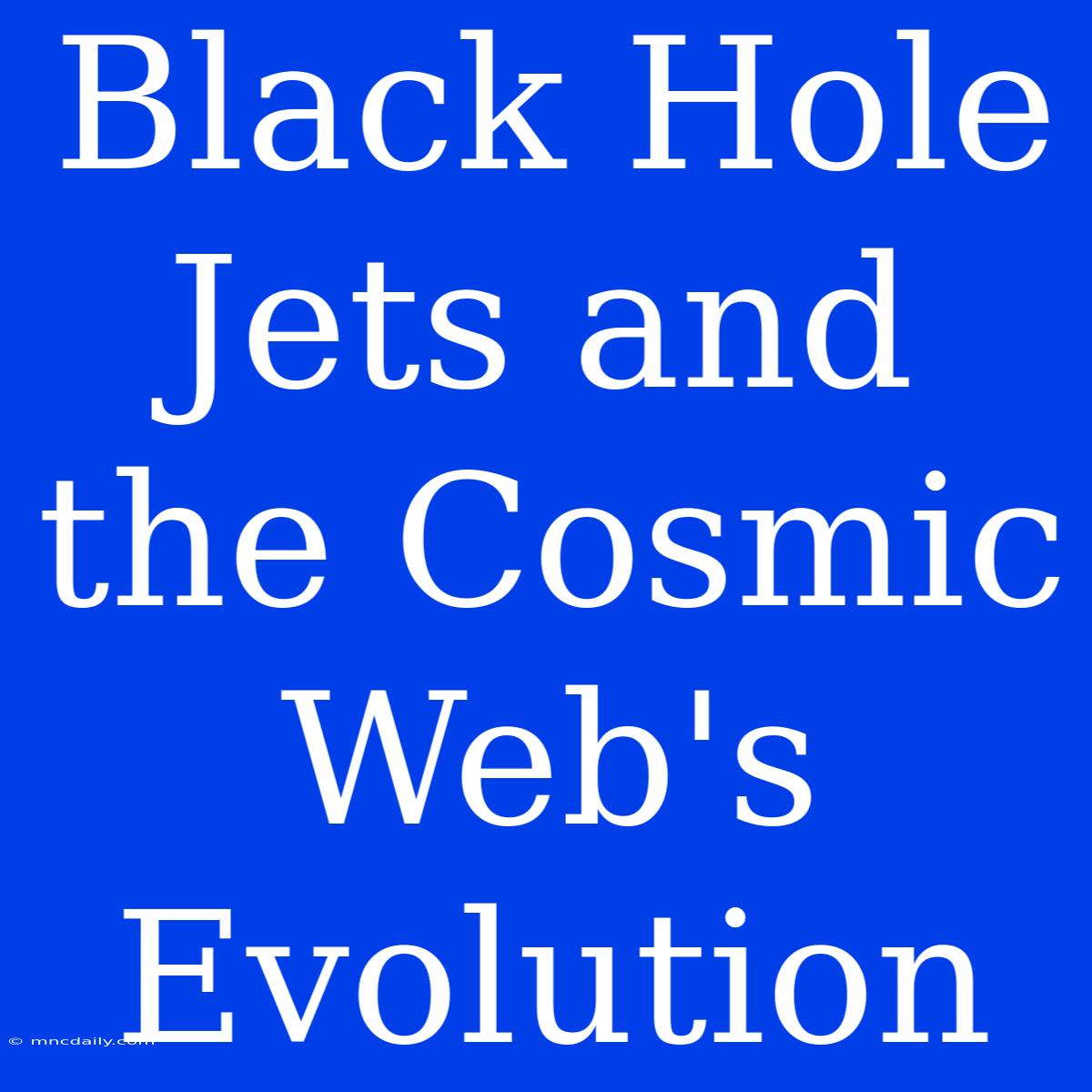 Black Hole Jets And The Cosmic Web's Evolution