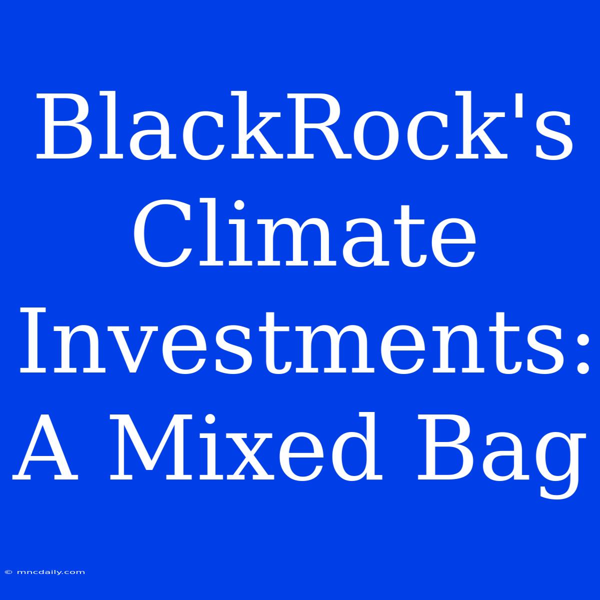 BlackRock's Climate Investments: A Mixed Bag