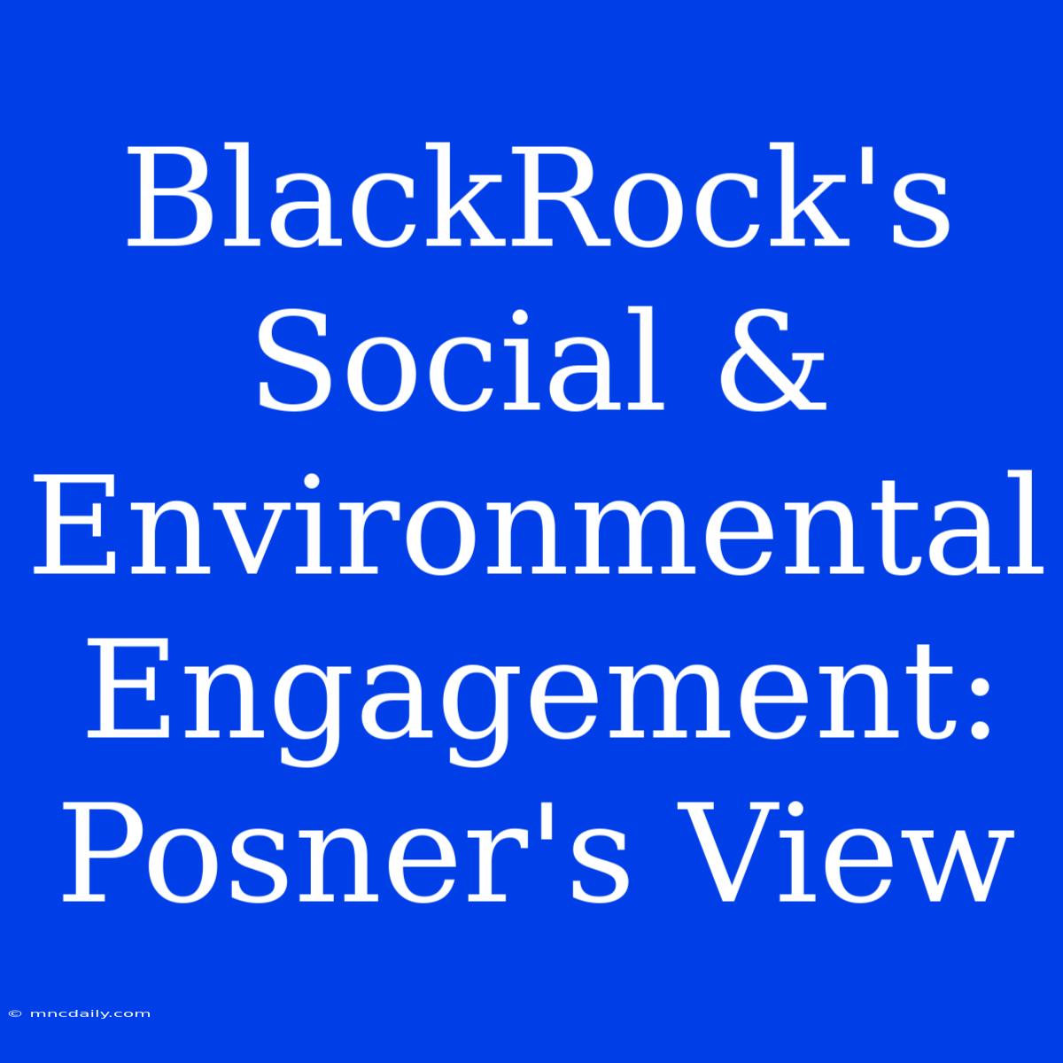 BlackRock's Social & Environmental Engagement: Posner's View