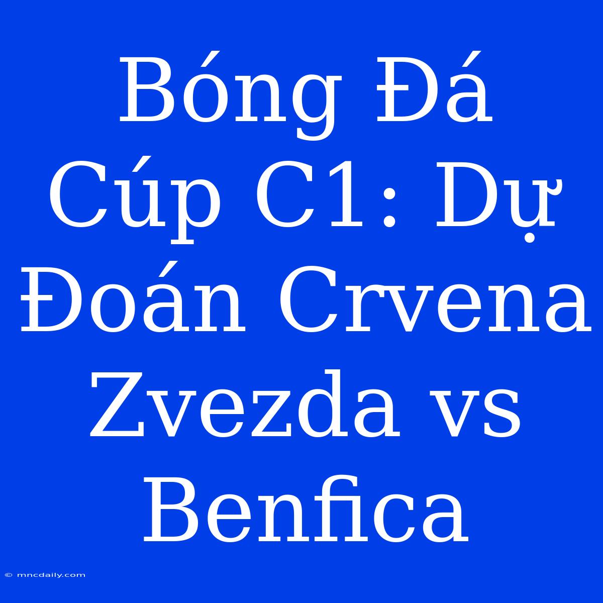 Bóng Đá Cúp C1: Dự Đoán Crvena Zvezda Vs Benfica