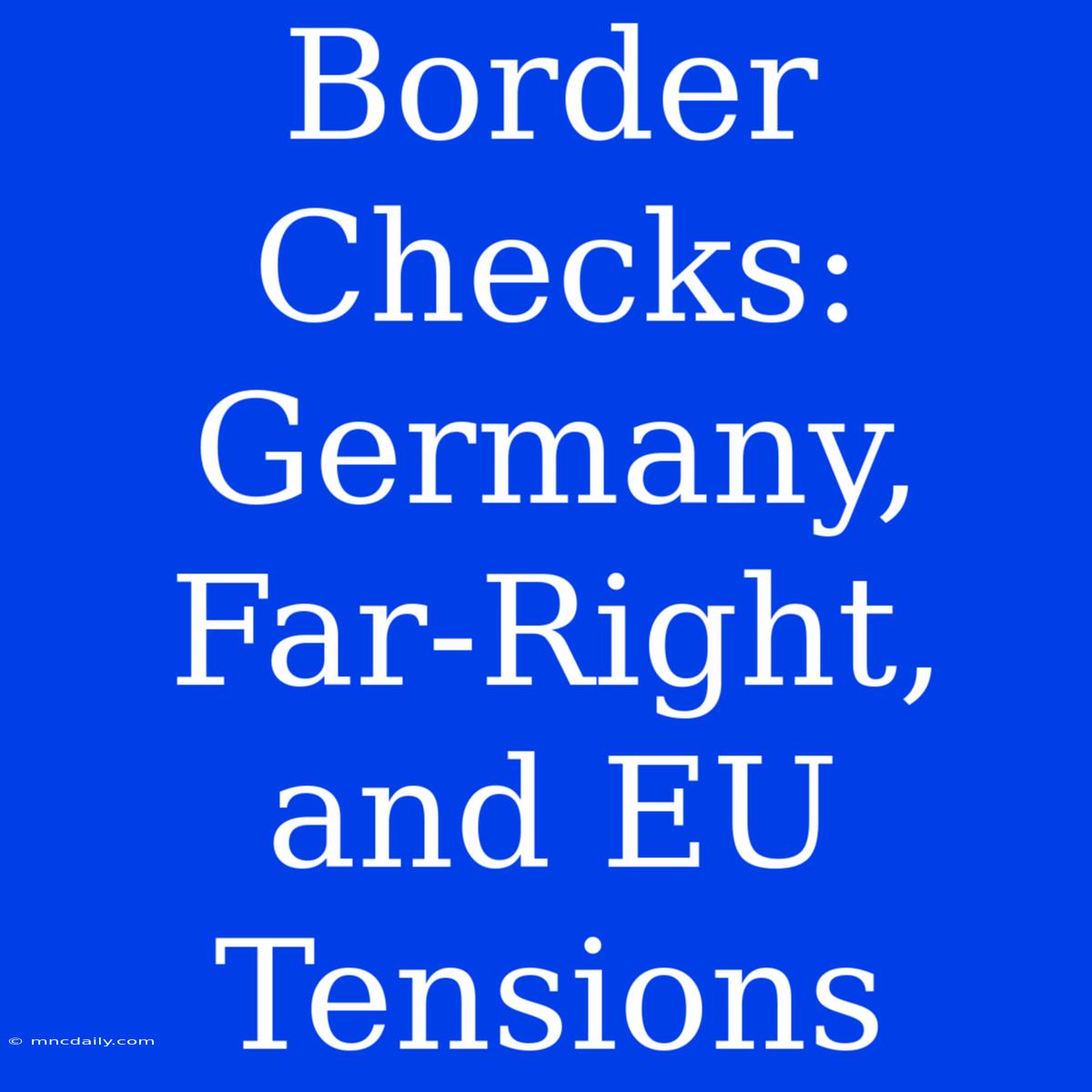 Border Checks: Germany, Far-Right, And EU Tensions