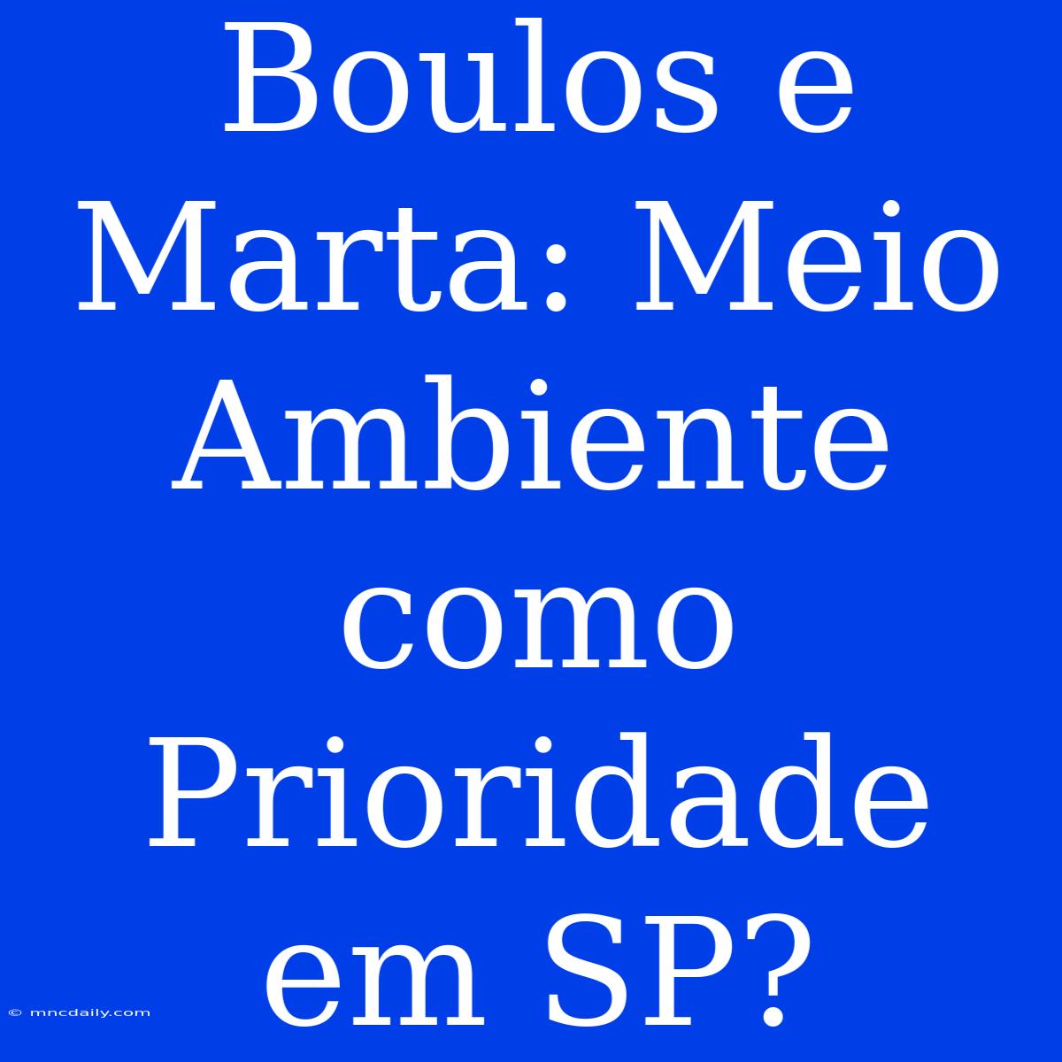 Boulos E Marta: Meio Ambiente Como Prioridade Em SP?