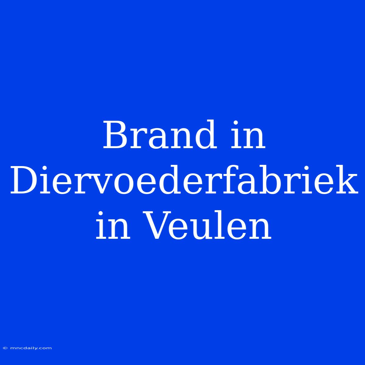 Brand In Diervoederfabriek In Veulen