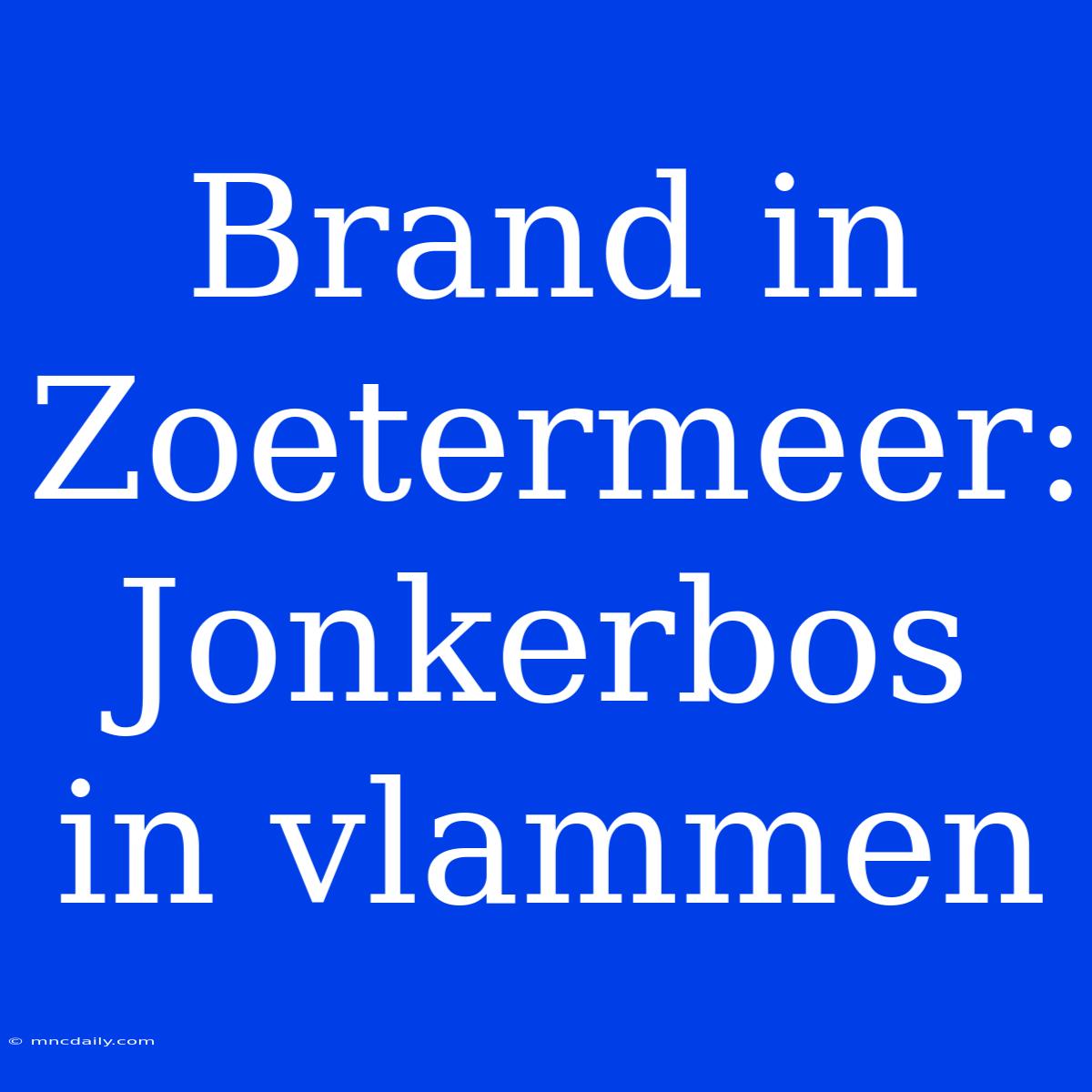 Brand In Zoetermeer: Jonkerbos In Vlammen