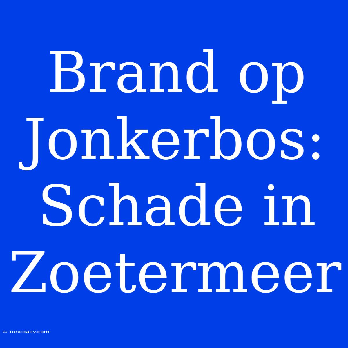 Brand Op Jonkerbos: Schade In Zoetermeer 