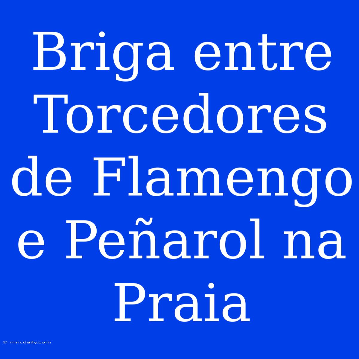 Briga Entre Torcedores De Flamengo E Peñarol Na Praia